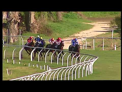 Napoli Galoppo 02/02/2021 - 2ª corsa