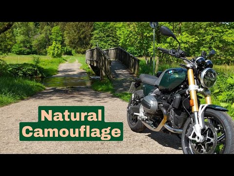 2024 BMW R 12 nineT - Naturally Occurring In Nature