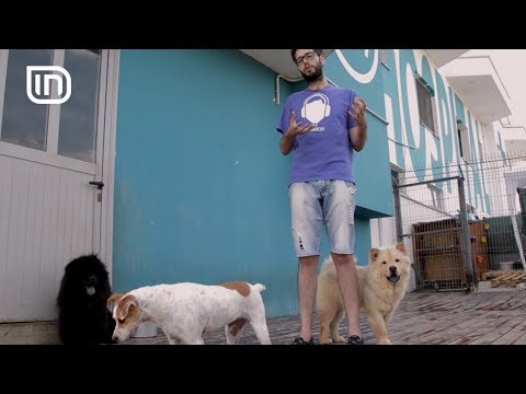 Life is Better with Friends 19072017 - Si te freskoni qente