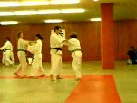 Blog PATINSLOVER: 2007 04 27 - JUDO - Entr SDK