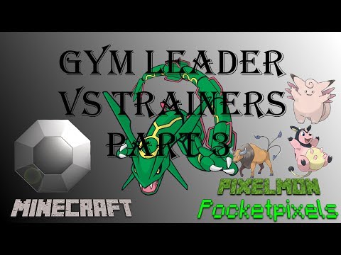 Pocket Pixels Gym Leader Vs Trainer - Part 3