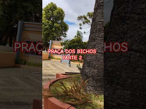 PONTA GROSSA PARANÁ BRASIL BRAZIL