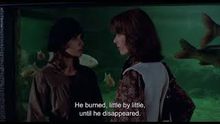 The Mountain Goats - Damn These Vampires [Live]