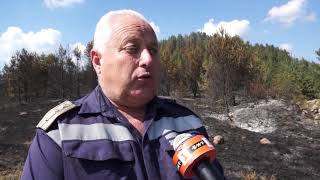 Ограничен е големият пожар в района на Девин, който обхвана близо 2000 декара площ