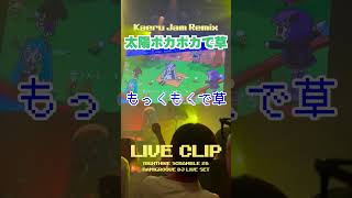 【LIVE CLIP】太陽ポカポカで草☀️  #NIGHTHIKE