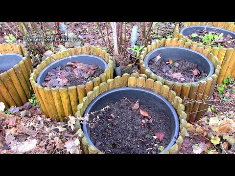 Kartoffelanbau im Kübel - Wohin mit der Erde? 🥔