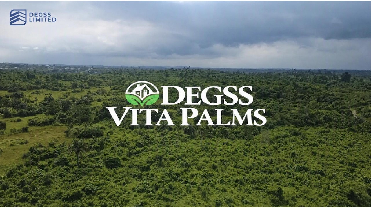 DEGESS VITA PALMS ESTATE
