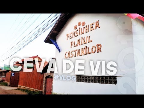 #VLOG - Ceva de VIS în interiorul Pensiunii ”Plaiul Castanilor” | FABRICANTUL