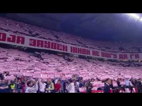 Ovako je izgledala Arena par minuta pred početak duela Zvezda Galatasaraj