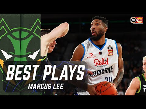 5 Minutes of Marcus Lee's Best Plays