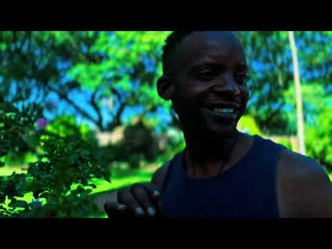 Say it (official music video ) 