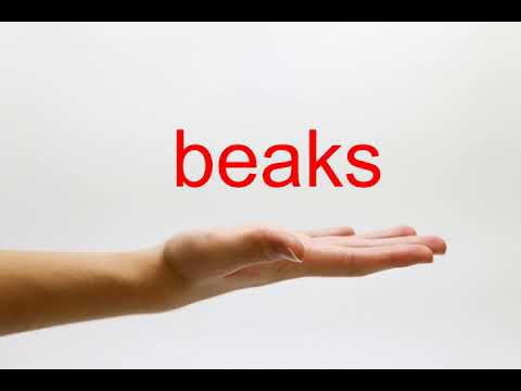 How to Pronounce beaks - American English