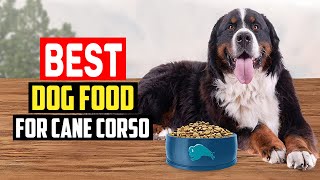 ✅ Top 5 Best Dog Food for Cane Corso in 2022