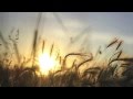 Coldplay - X&Y (Changing Faces Remix) 