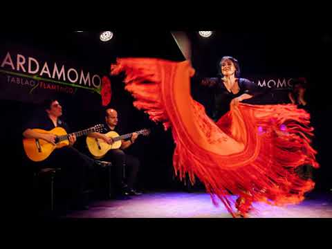 Alex Fox - Spanish Guitar Music - Spanish Flamenco Music