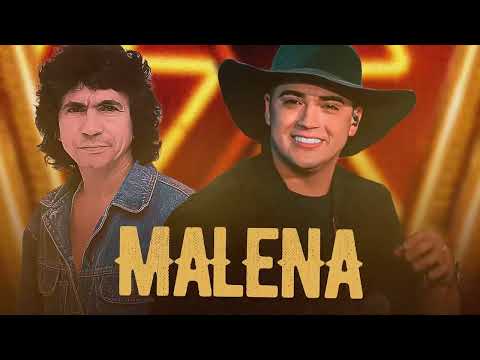 Malena - Bartô Galeno [VERSÃO ARROCHA] QUALITYREMIX