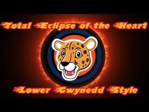 “Total Eclipse of the Heart: Lower Gwynedd Style”