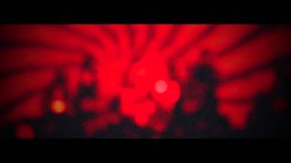 LEVITATION FRANCE 2014