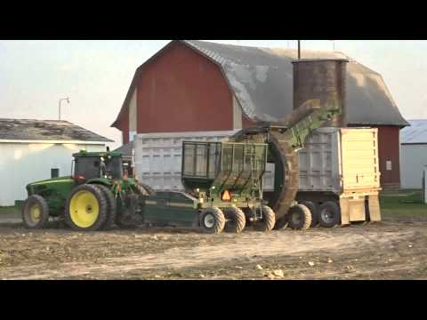Sugar Beet Farming in Unionville, Michigan