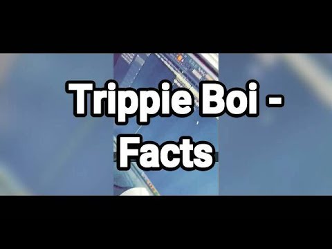 Trippie Boi - Facts (HÖRPROBE)