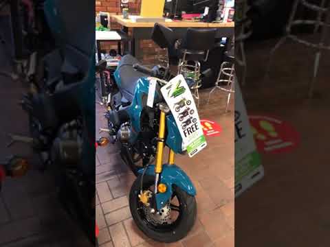 Show Room Tour After the big Texas FREEZE!!! 2-19-21