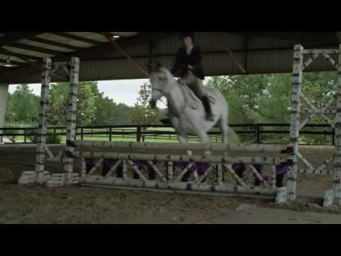 Thumbnail of the video: A Gift Horse - Official Trailer HD