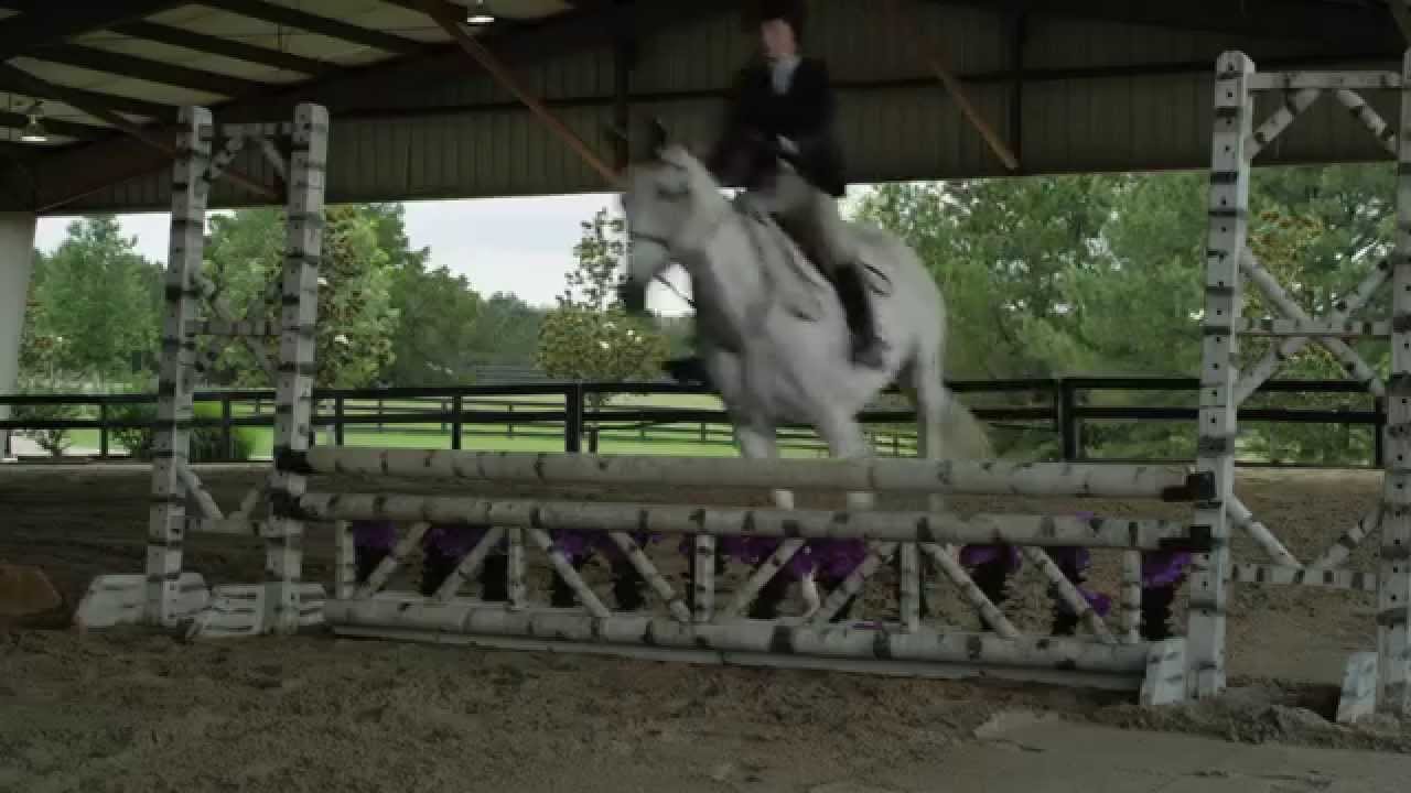 A Gift Horse - Official Trailer HD