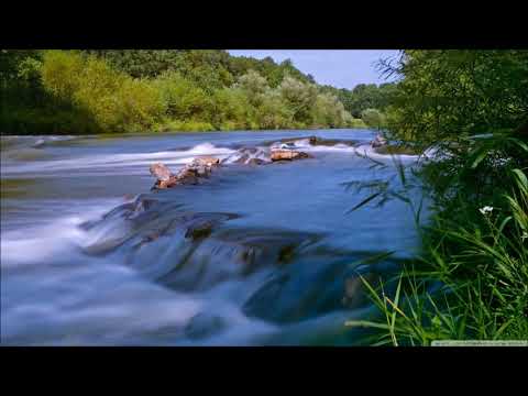 Danut Aschilean - Vino Isus, noi Te dorim