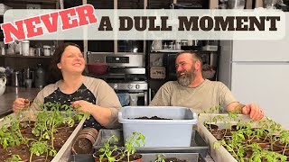 Alaska Cabin Life - We have to start seeds REALLY EARLY in Alaska