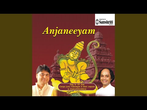 Pushpanjali - Vijaya Vasantham - Adi — वीडियो थंबनेल