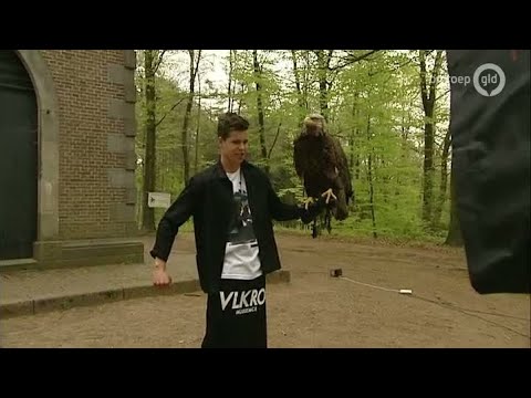 GLD Nieuws 2 mei 2013 - Nieuws