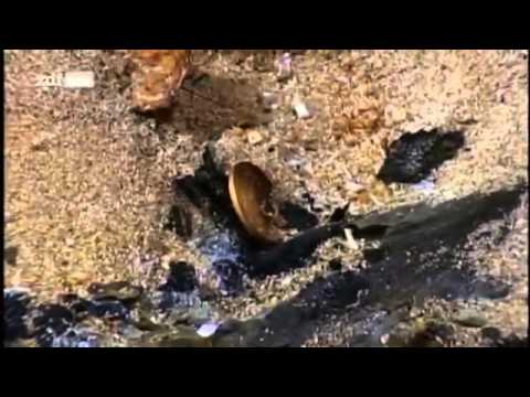 Schatzsuche im Atlantik - Das Gold der SS Republic - Teil 3