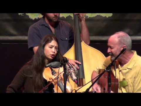 Steve Kaufman's Kamp presents Annie Staninec, John Kael, Ivan Rosenberg and Steve Roy