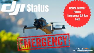 DJI Status Emergency DJI Ban Vote