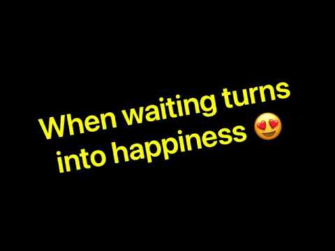 Wayyan MA by Wahaj Albidayer - colt foal 2021