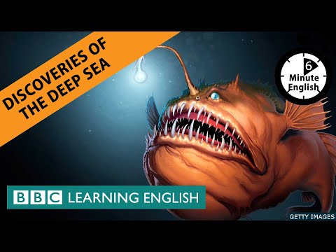 深海的發現 - 6分鐘英語 (Discoveries of the Deep Sea - 6 Minute English)
