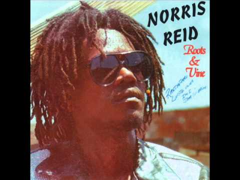 Norris Reid - Feel No Pain