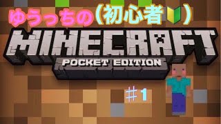 【マイクラ】誰も今日から始めてないマイクラをやってみた！