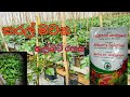නයිමිරිස් වගාවකට ඇල්බට් පොහොර යෙදීම Na
