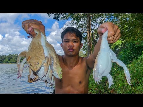 Cooking Yummy Frogs Sour Soup Eating Delicious in Forest