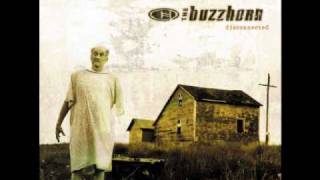 The Buzzhorn - To Live Again [HQ Audio]