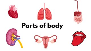 Parts of the body | body parts with pictures for beginners| English grammar
