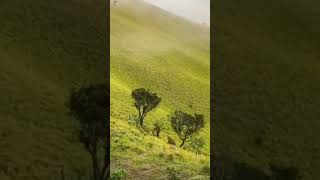 Download lagu Sunset gunung merbabu 3122mdpl #merbabu #pendaki #sunset mp3