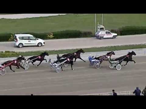 Aversa trotto 29 Febbraio 2020 - 2° Corsa