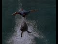 1988 Commercial For Sea World