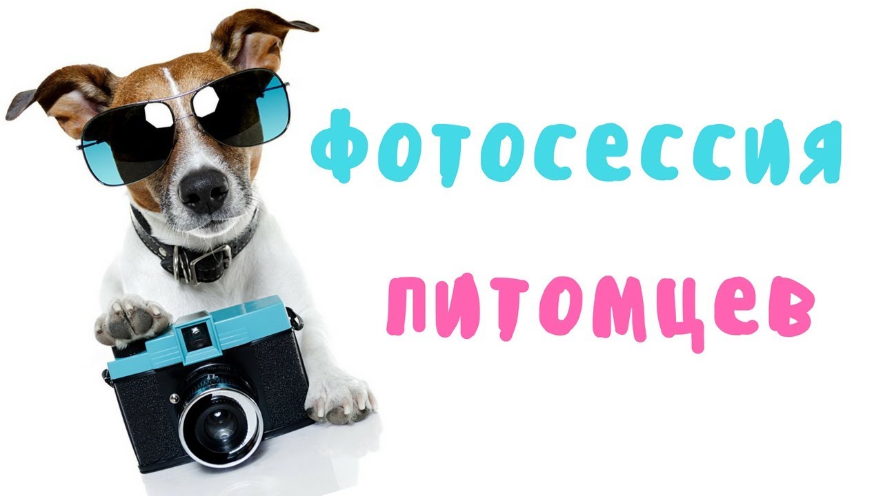 YouTube video preview