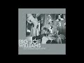 Big Joe Williams - ''The Audition Tapes 1978''