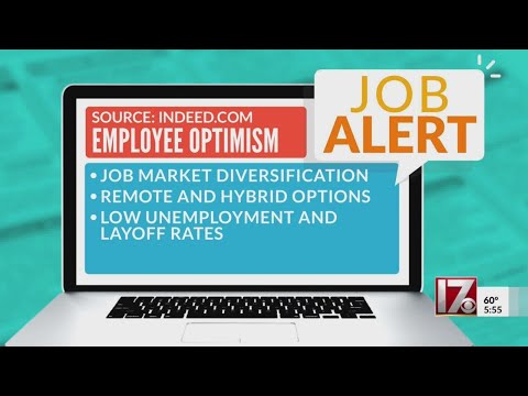 Job Alert: Employee optimism