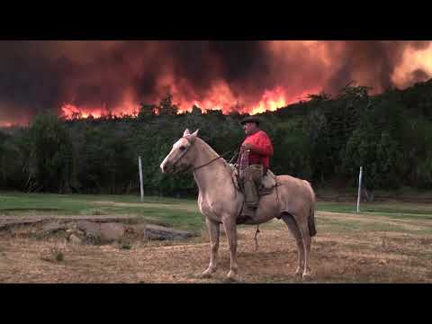 Selección Oficial PEFF 2018 - Trailer La Tierra que Arde