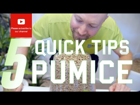 YouTube video about: Where to buy pumice for plants uk?